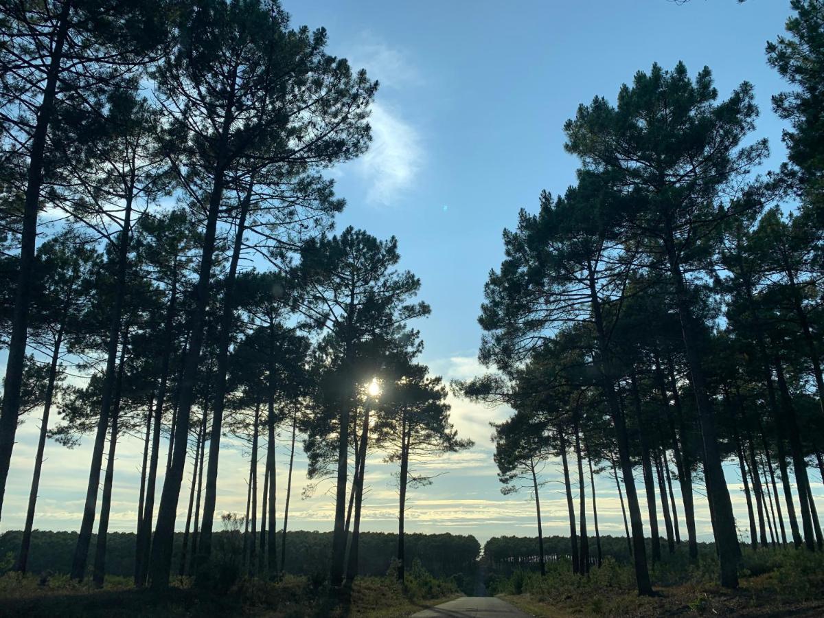 Rion-Des-Landes L Estanguet Maison Octogonale En Foret מראה חיצוני תמונה